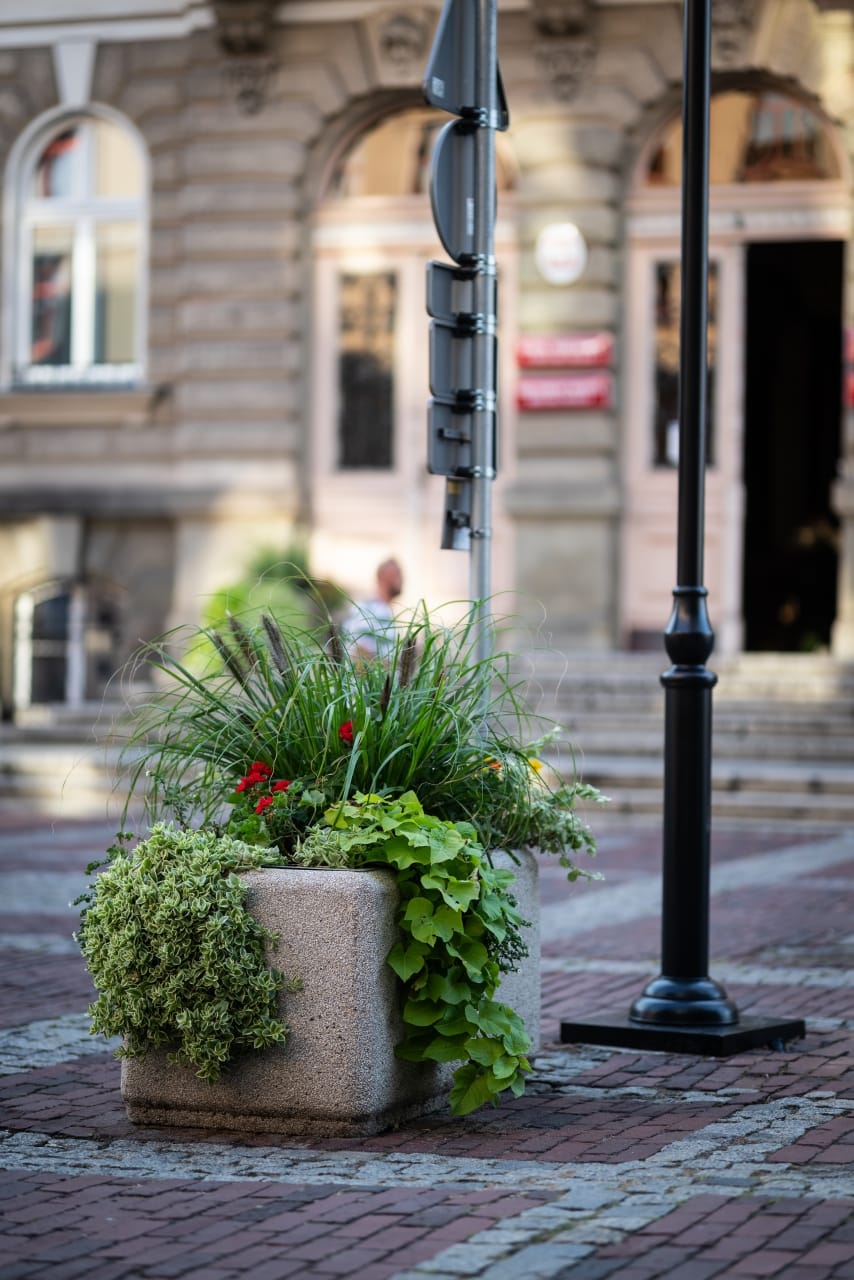 kwiaty-bielsko-biala-130