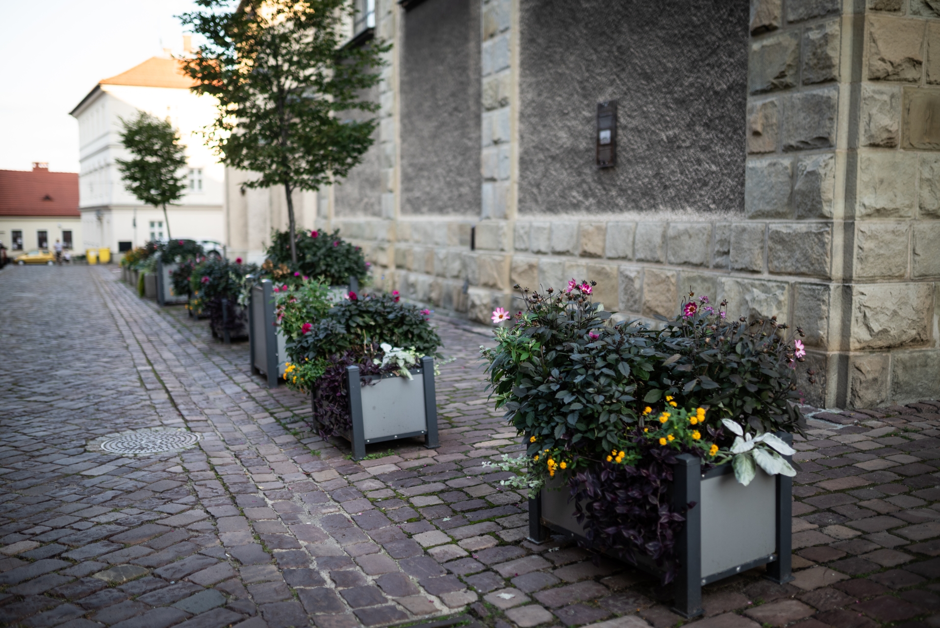 kwiaty-bielsko-biala-157