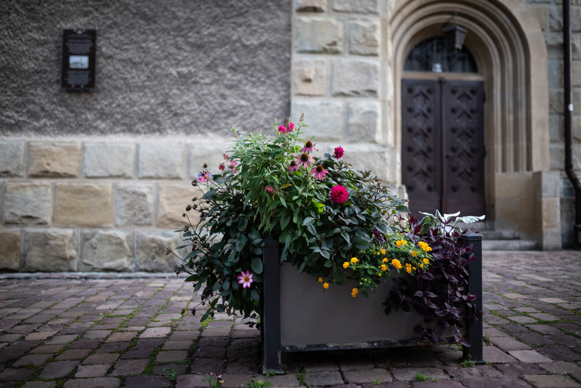 kwiaty-bielsko-biala-160