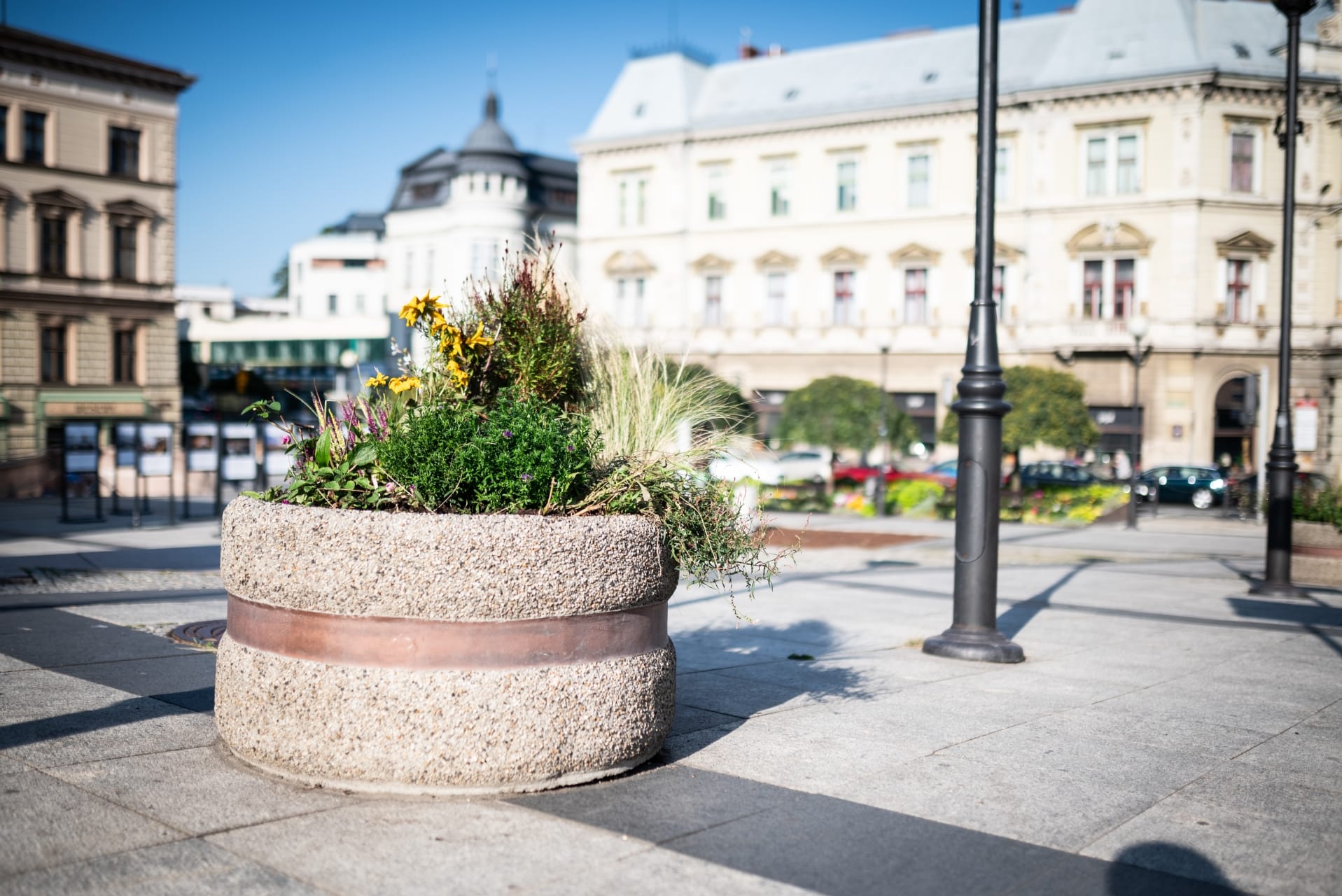 kwiaty-bielsko-biala-17