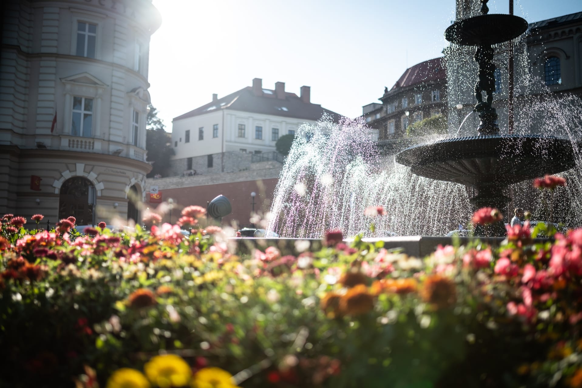 kwiaty-bielsko-biala-45