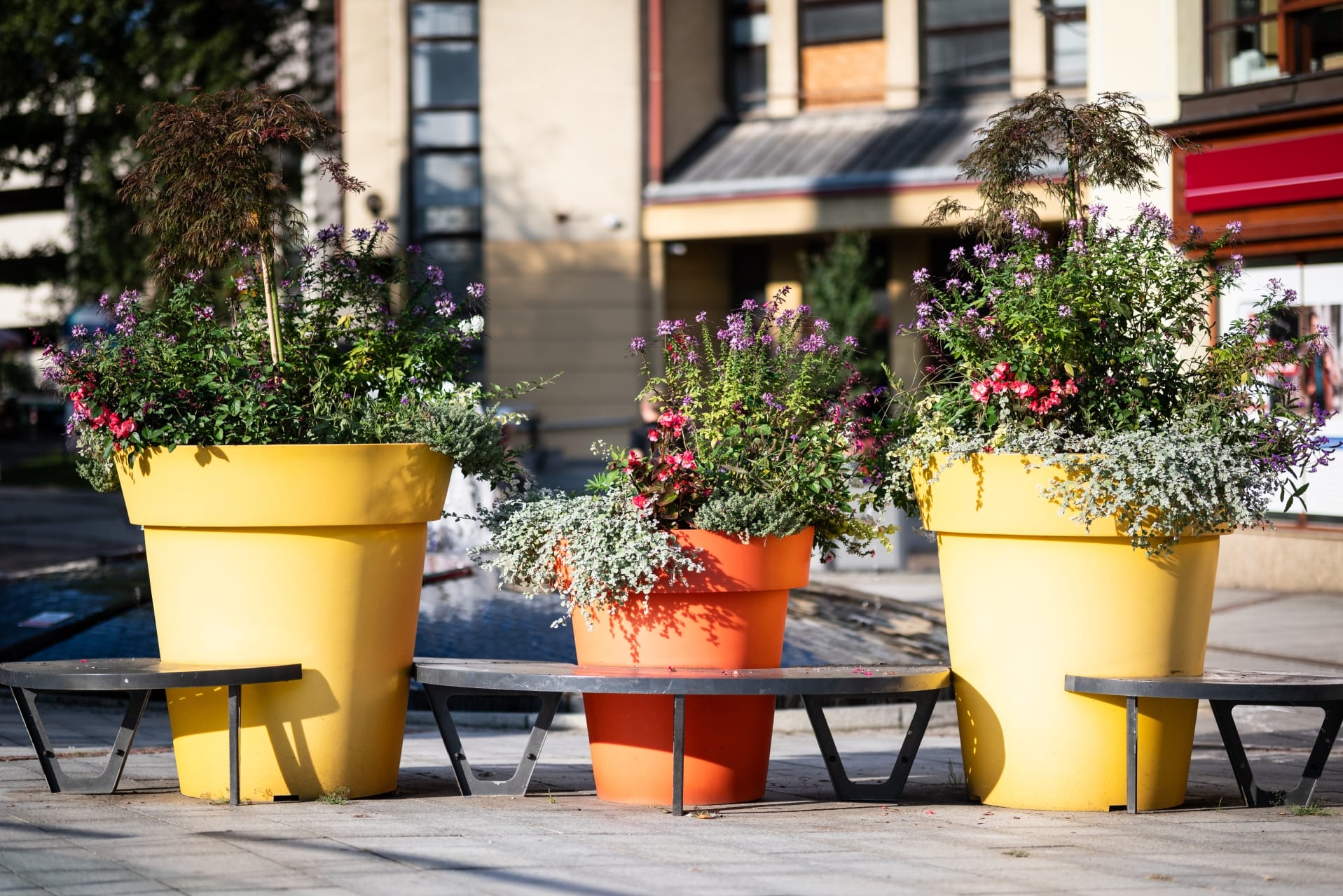 kwiaty-bielsko-biala-85