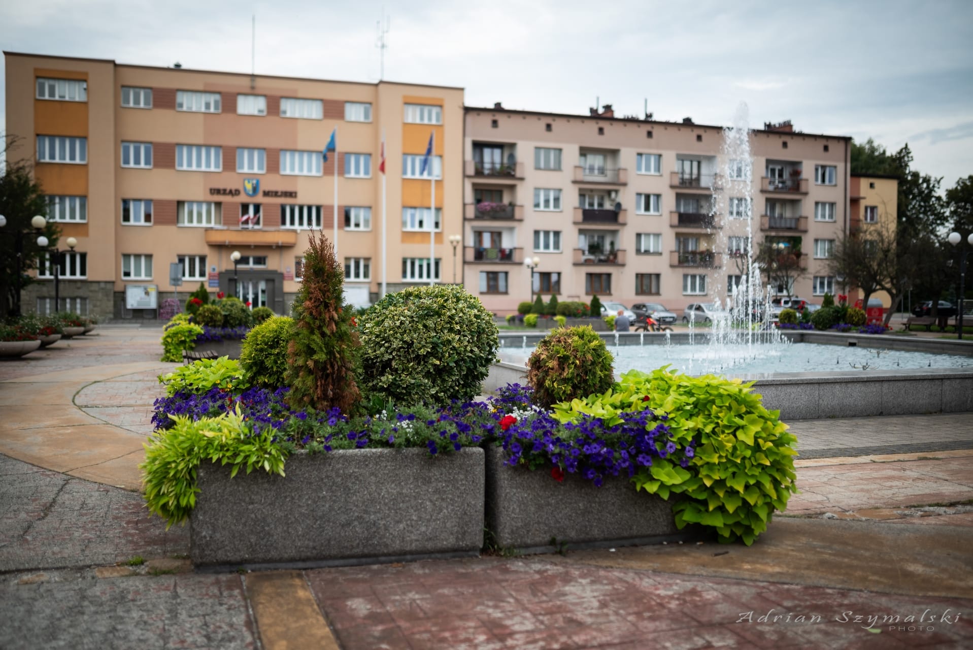 kwiaty-czechowice-21