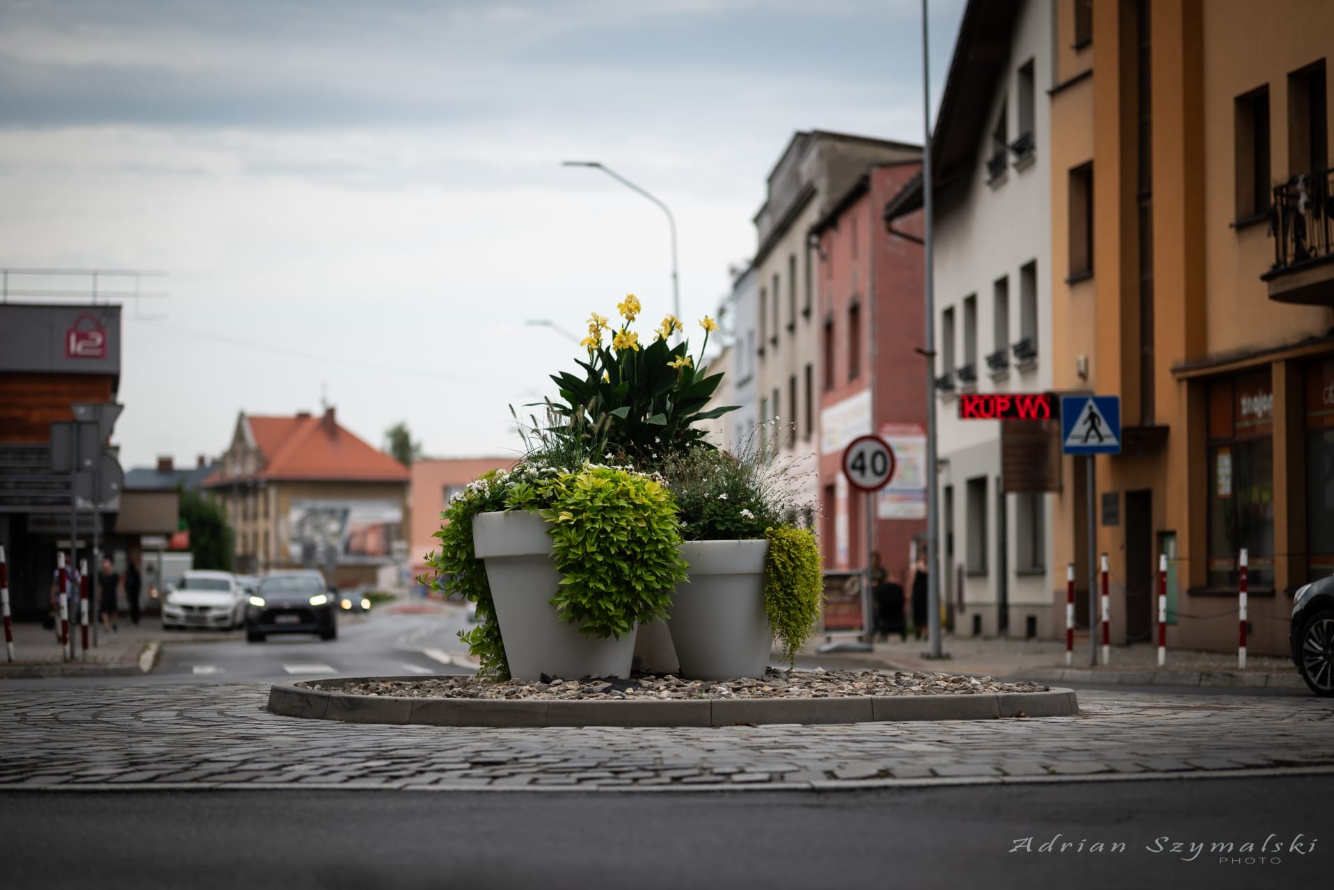 kwiaty-czechowice-27