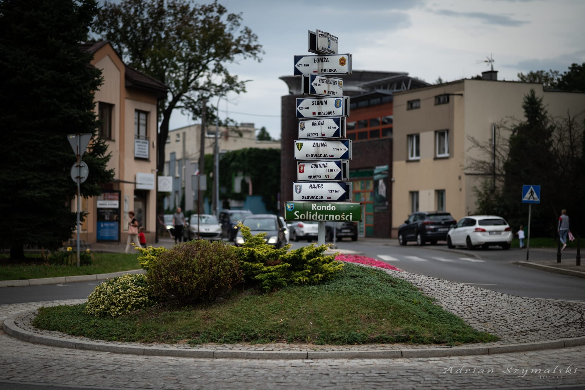 kwiaty-czechowice-35