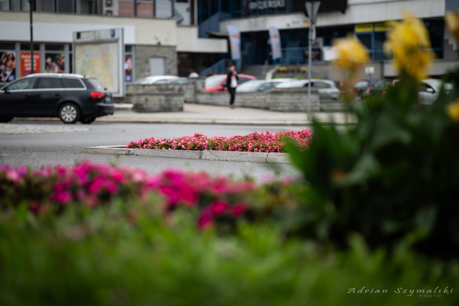 kwiaty-czechowice-44