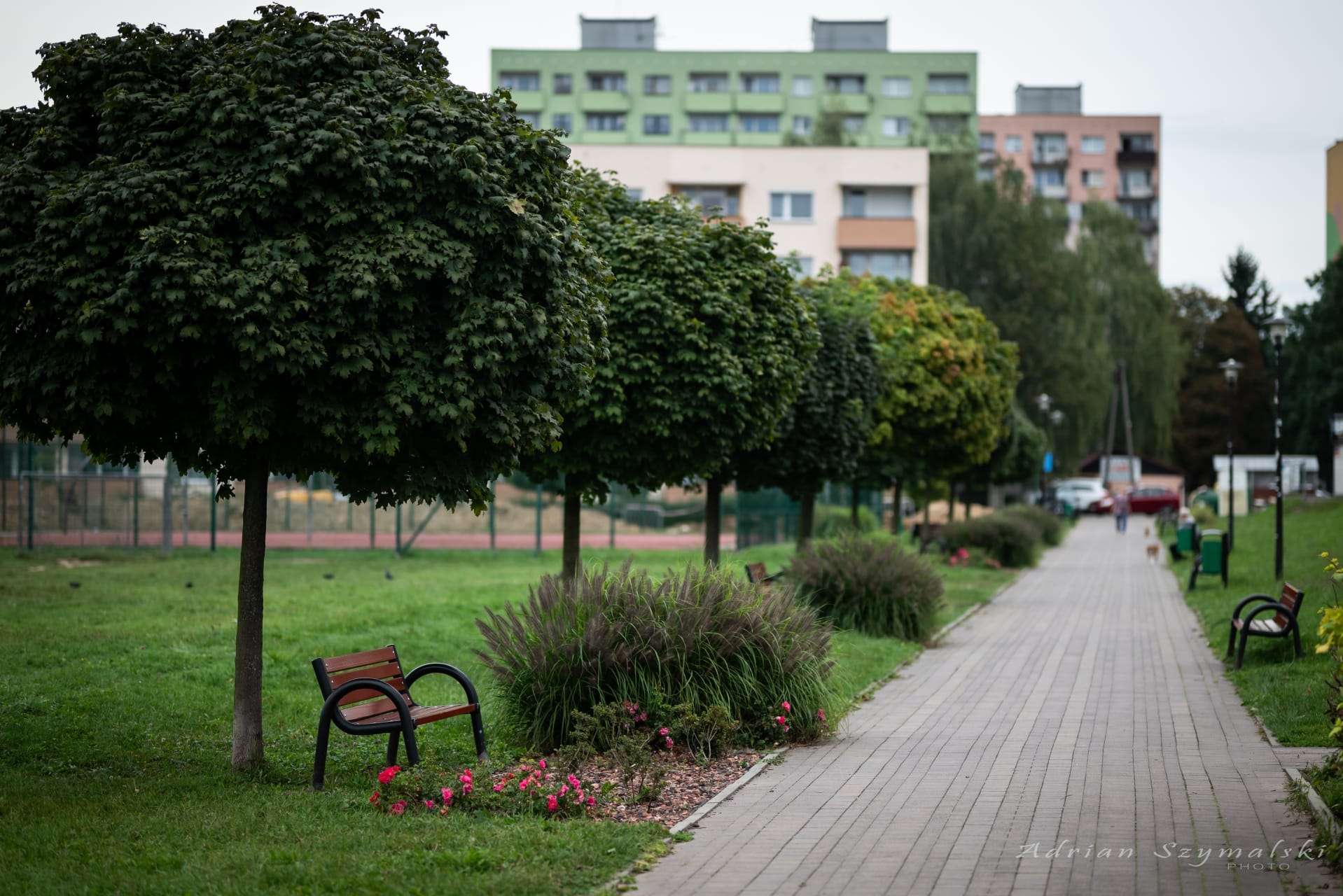 kwiaty-czechowice-73